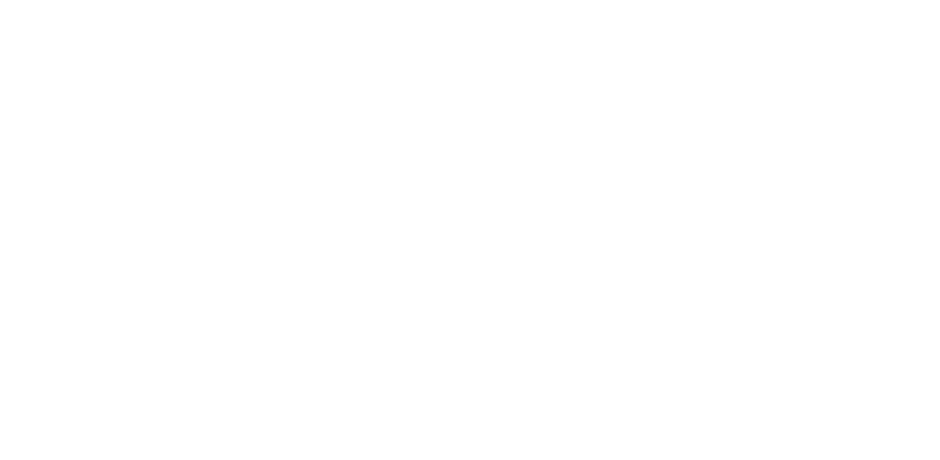 hussein Bashe logo